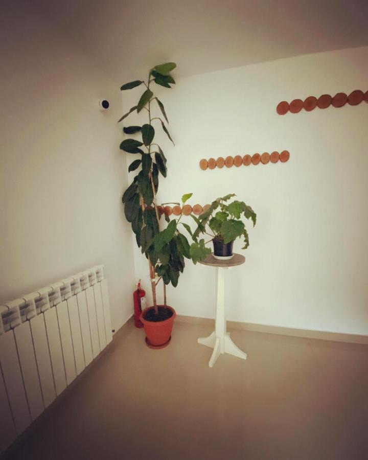 Maison Platanus Voineasa Εξωτερικό φωτογραφία