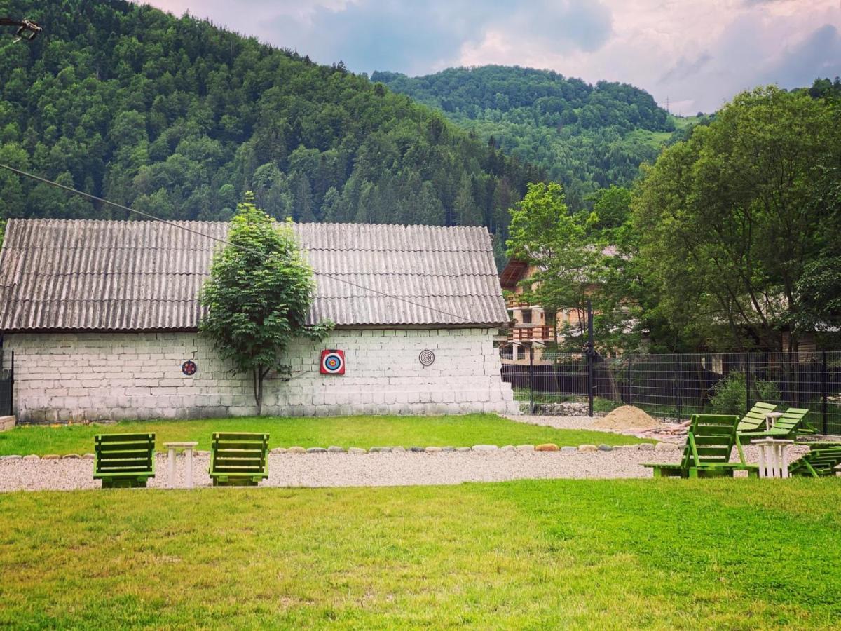 Maison Platanus Voineasa Εξωτερικό φωτογραφία