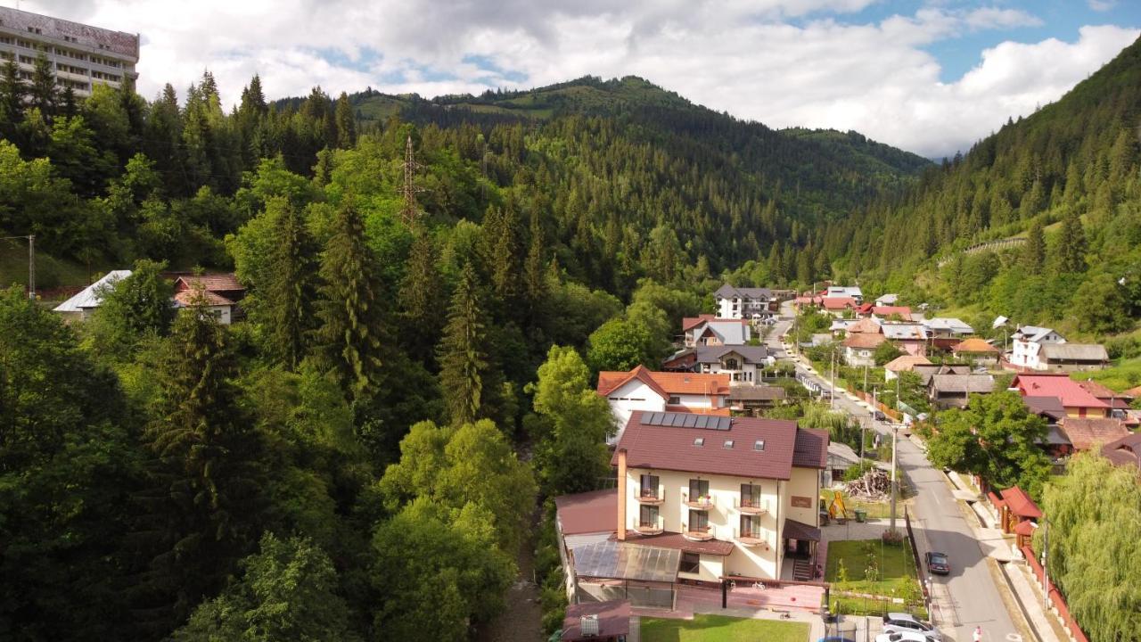 Maison Platanus Voineasa Εξωτερικό φωτογραφία