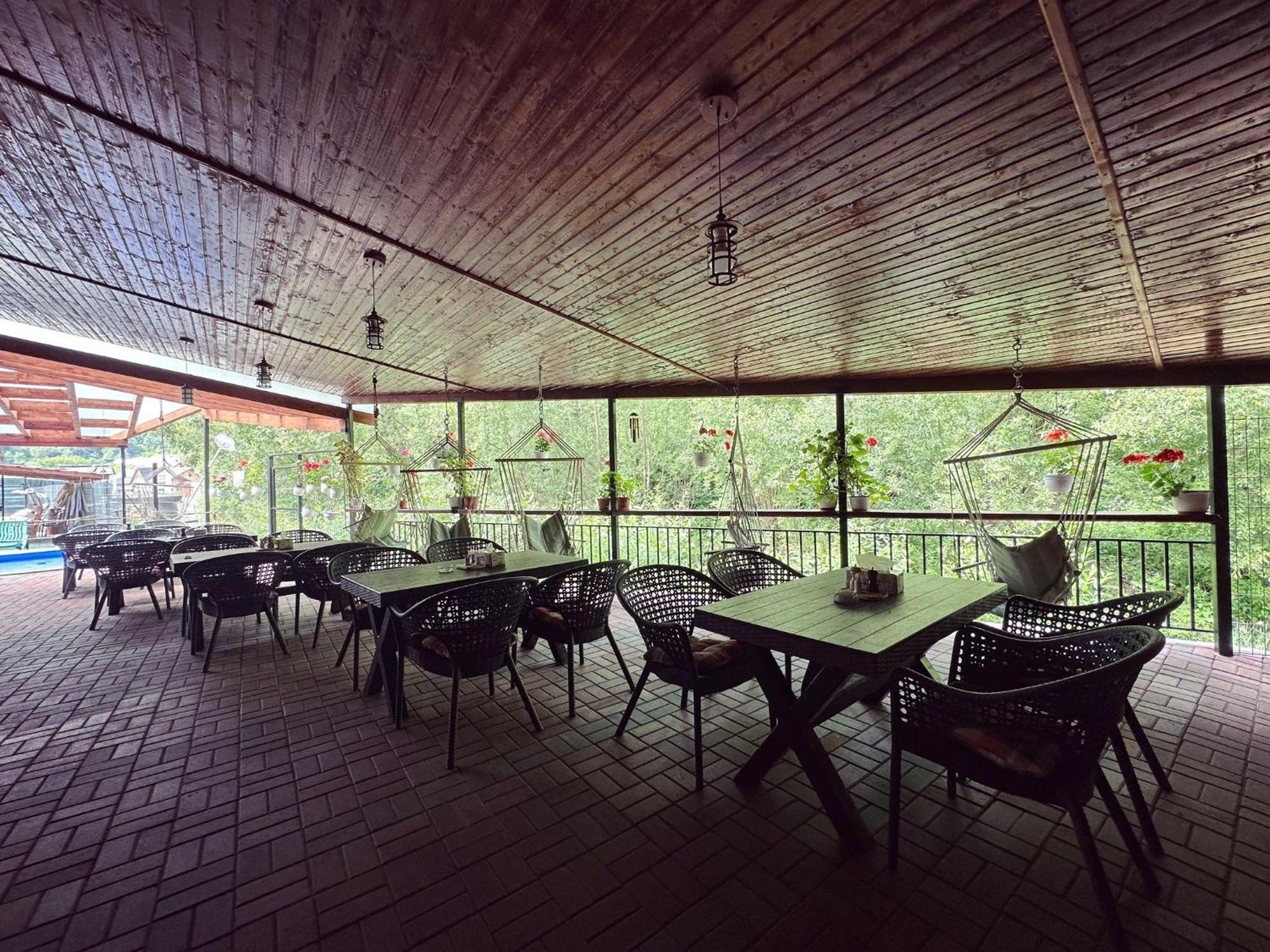 Maison Platanus Voineasa Εξωτερικό φωτογραφία