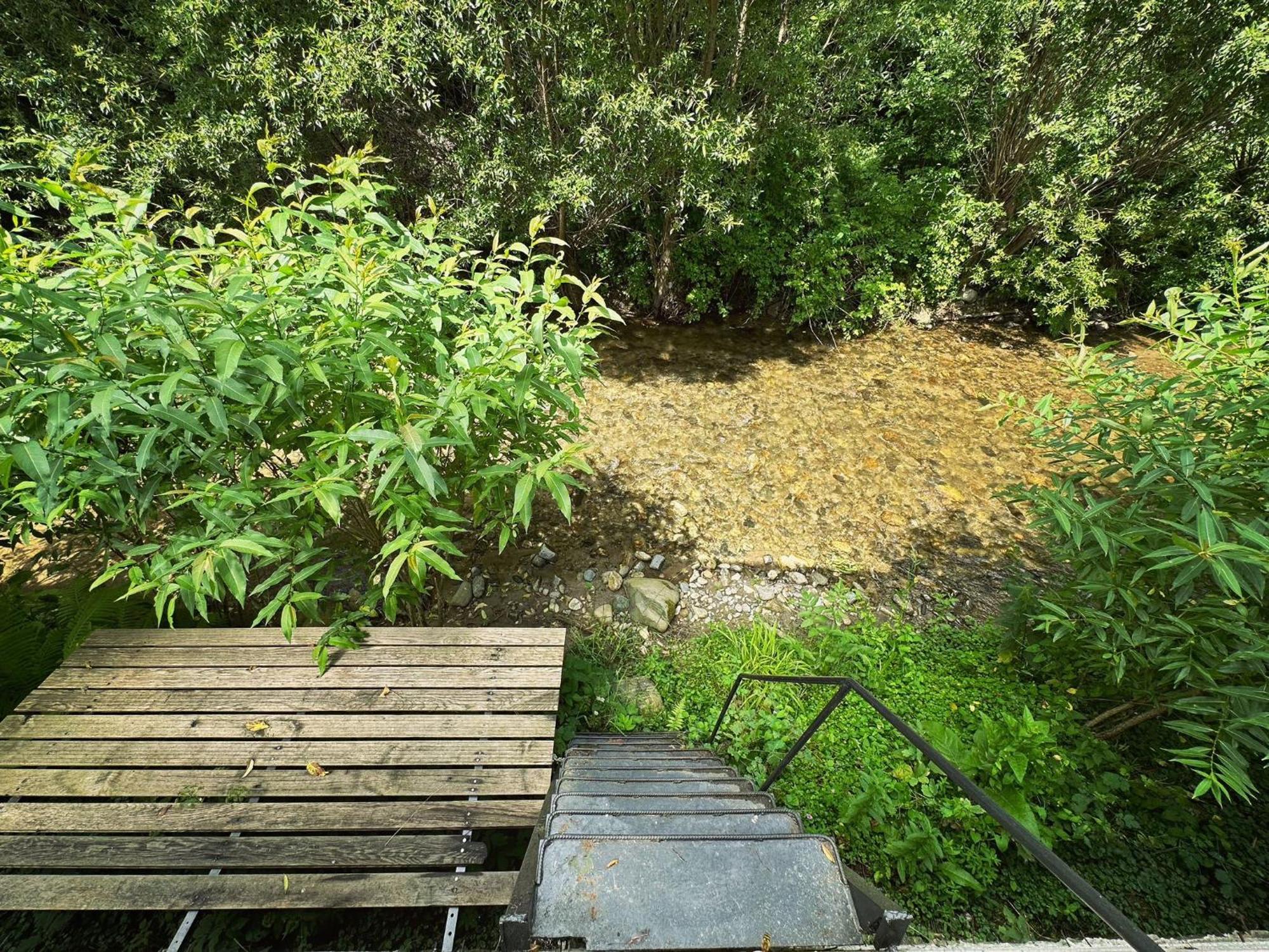 Maison Platanus Voineasa Εξωτερικό φωτογραφία